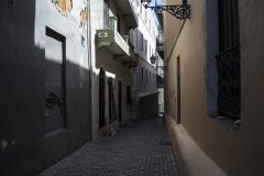 Alexis_Masino_UPenn_Tony_Ward_Old_San_Juan_Puerto_Rico_spring_break_vacation_photo_photography_island_streets_dog_alley_animal_stray_colors_buildings Alexis_Masino_UPenn_Tony_Ward_Old_San_Juan_Puerto_Rico_spring_break_vacation_photo_photography_island_streets_dog_alley_animal_stray_colors_buildings