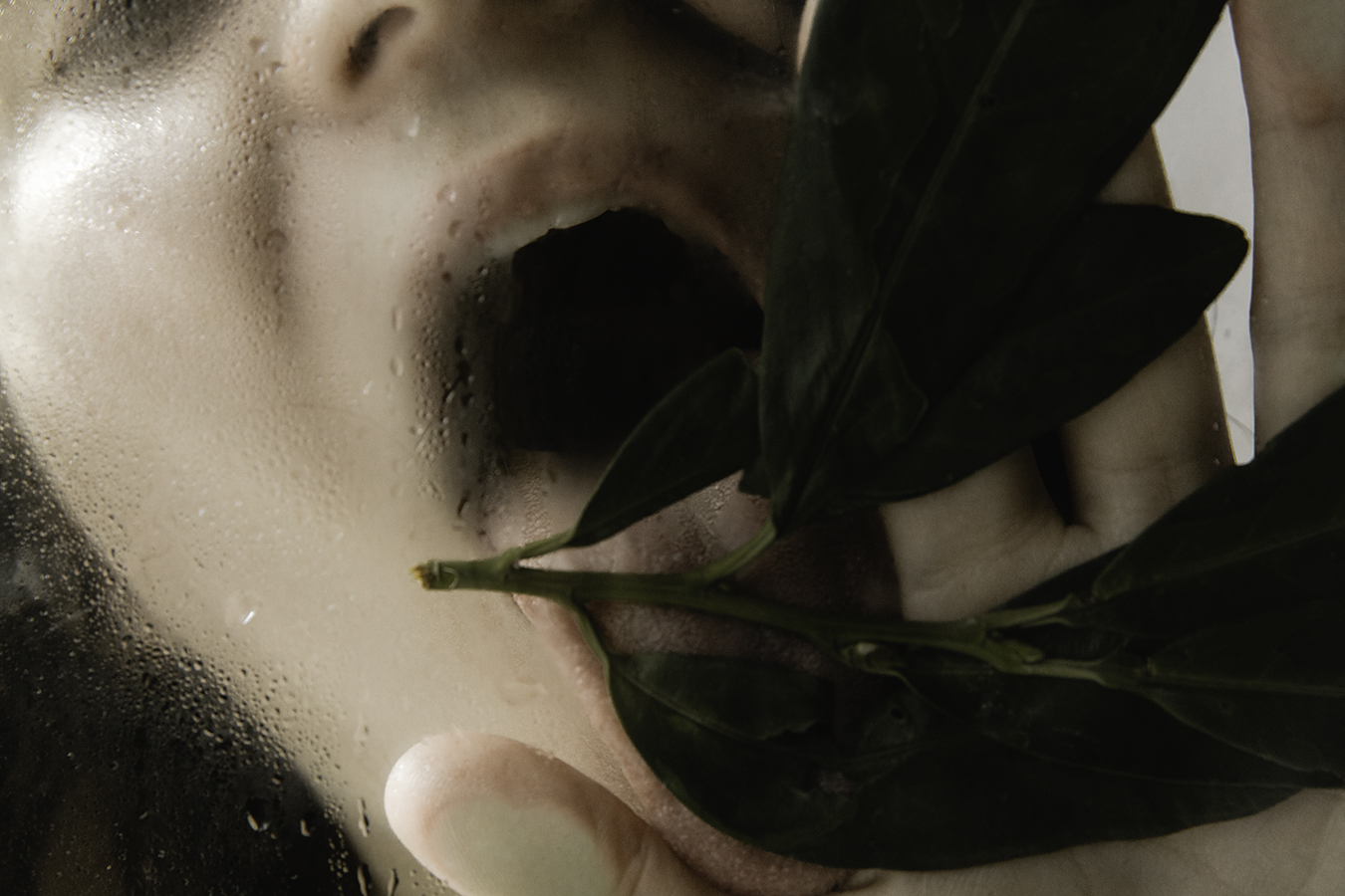 ALEXIS_MASINO_UPENN_TONY_WARD_STUDIO_FASHION_PHOTOGRAPHY_EROTIC_EROTICA_HESPERIDES_DYPTIQUE_GARDEN_APHRODITE_NYMPH_GIRL_WET_WATER_GLASS_NUDE_SKIN_GREEN_MOUTH_TONGUE_LEAF_PLANT_TEETH