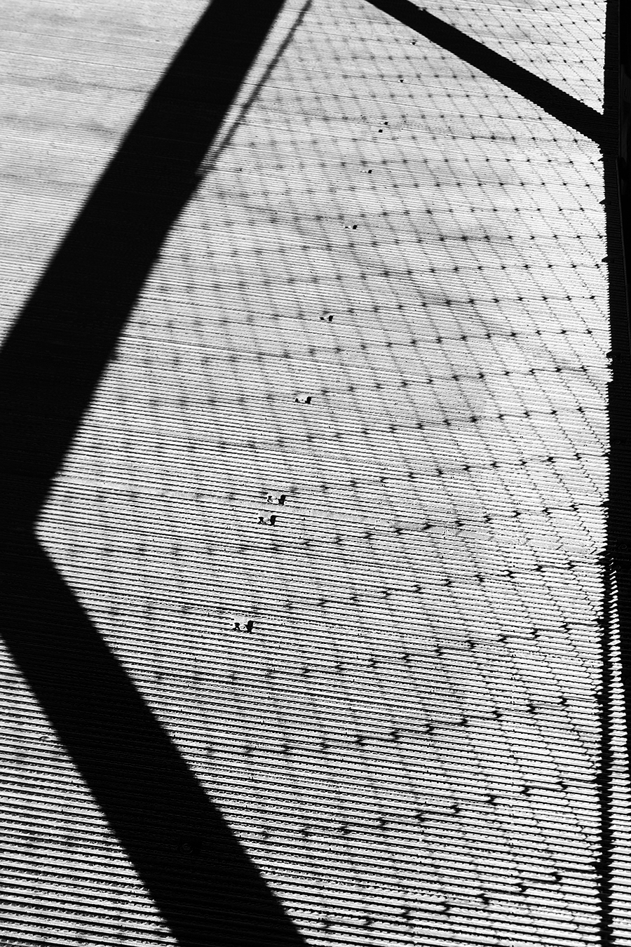 Janelle_Tong_Photography_Tony_Ward_Studio_Individual_Project_UPenn_Penn_Park_Bridges_Fence_Link_Crossing_Shadows_Black_and_White