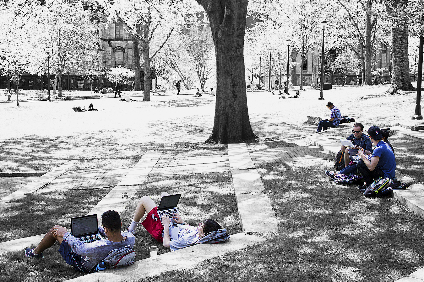 Janelle_Tong_Photography_Tony_Ward_Studio_Political_Project_UPenn_6_Student_Diversity_College_Green_Outdoors_Working_Shade