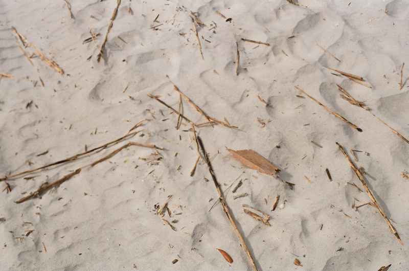 Sand_Sticks