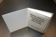 Tony_Ward_studio_portfolio_presentations_Sierra_Levin_mental_health_trauma_treatments