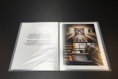 Tony_Ward_studio_portfolio_presentations_Sierra_Levin_mental_health_trauma_treatments_hospitals