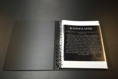 Tony_Ward_studio_portfolio_presentations_Sierra_Levin_mental_health_trauma_treatments_iconoclastic