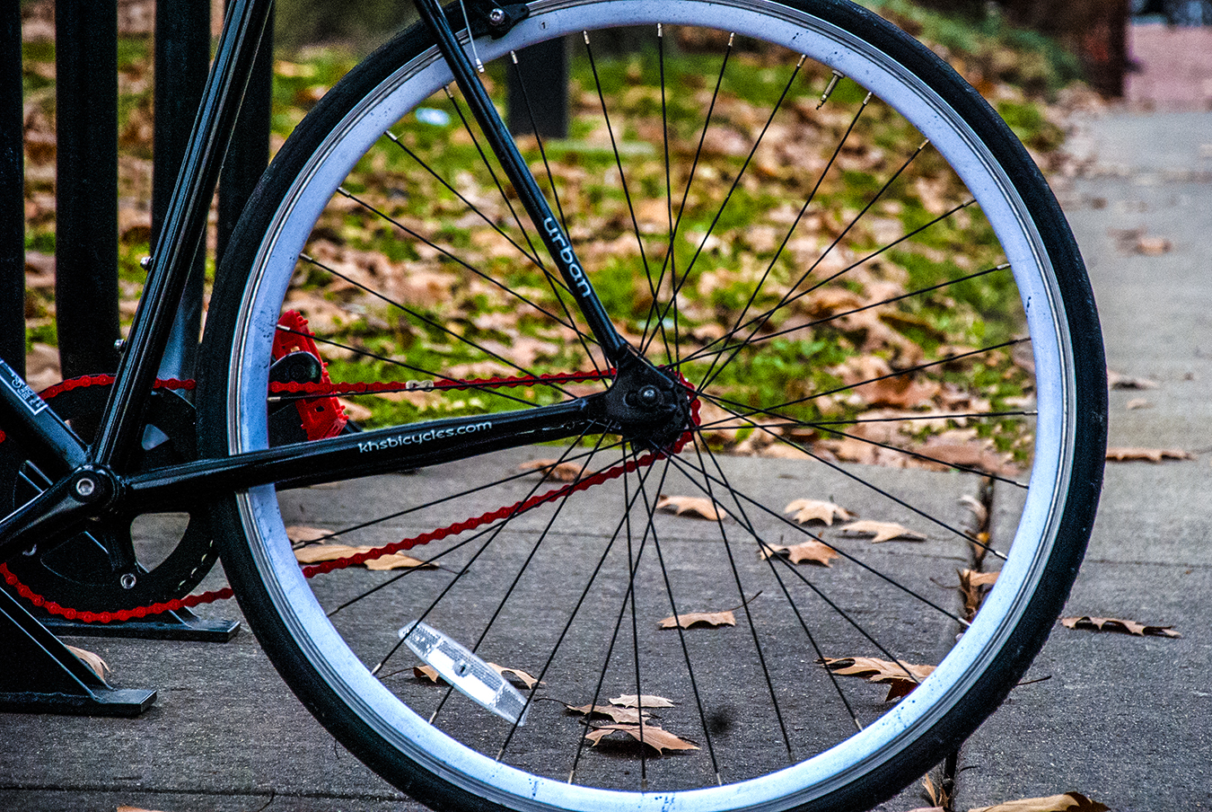 Victoria_Meng_Bike_Wheel_Divide_Colorful_Fall_Leaves_Cicle_Philly_Scenery_Geometric_Photo