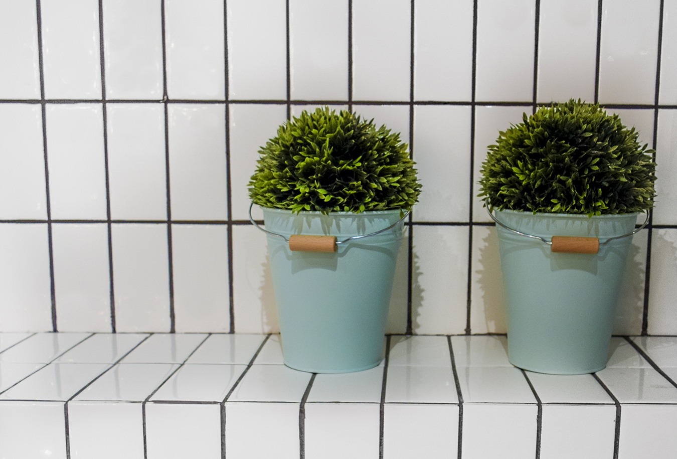 Victoria_Meng_Minimal_Two_Plants_Grid_Lines_Green_Blue_Succulents_Photo_Pair_Trendy