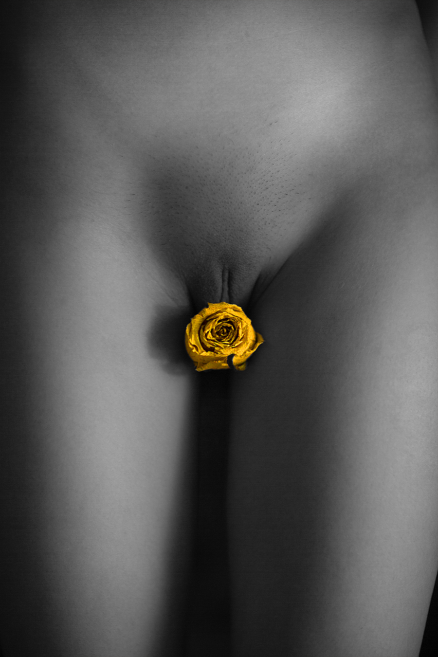 Jingwen_Felix_Qiang_Photography_Fashion_Artificial_Rose_Yellow_Female_Nude_Virgina