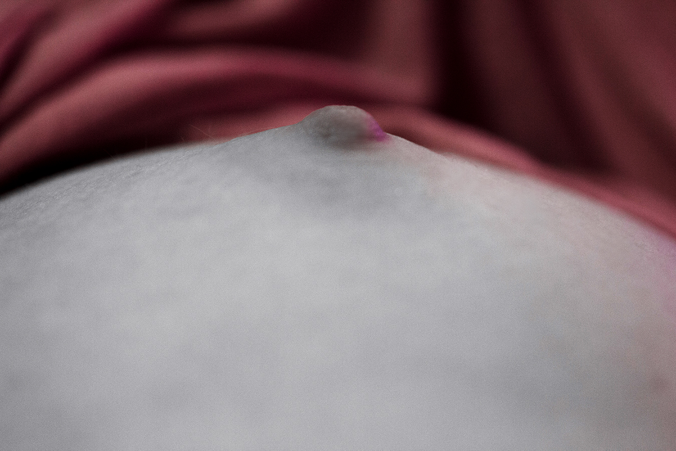 Catherine_Quigley_Photography_erotic_panties_leopard_nipple