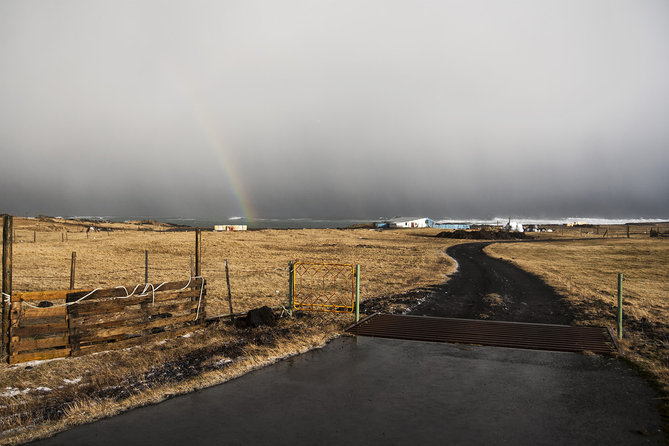 AngelaPan_photography_iceland_ocean_grass_farm_countryside_rainbow_rain